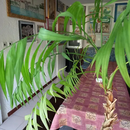 Smjestaj Rab - Brna * Rab Town