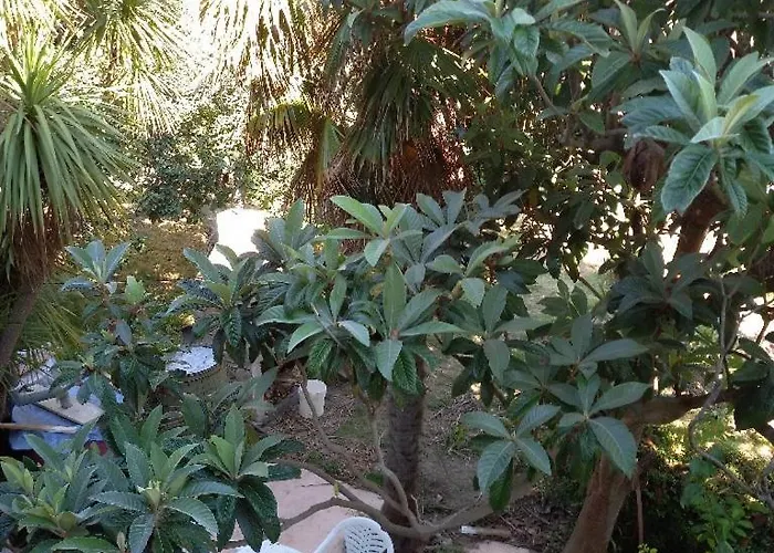 Smjestaj Rab - Brna Apartman